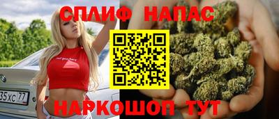 Альфа ПВП Обь