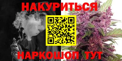 МДПВ Новодвинск