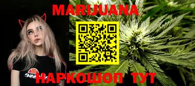 Альфа ПВП Обь