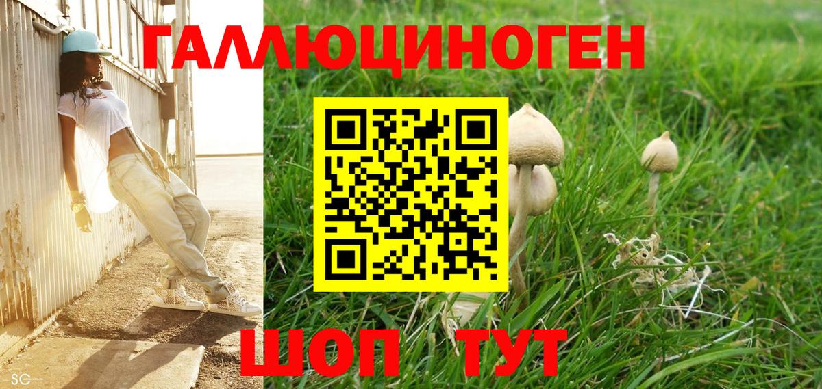 Псилоцибиновые грибы MAGIC MUSHROOMS Бутурлиновка